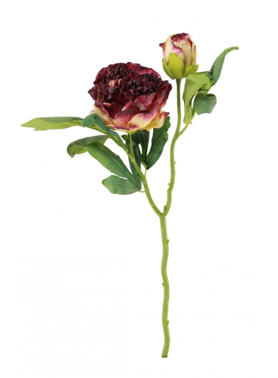 Dried Touch Ruffled Peony