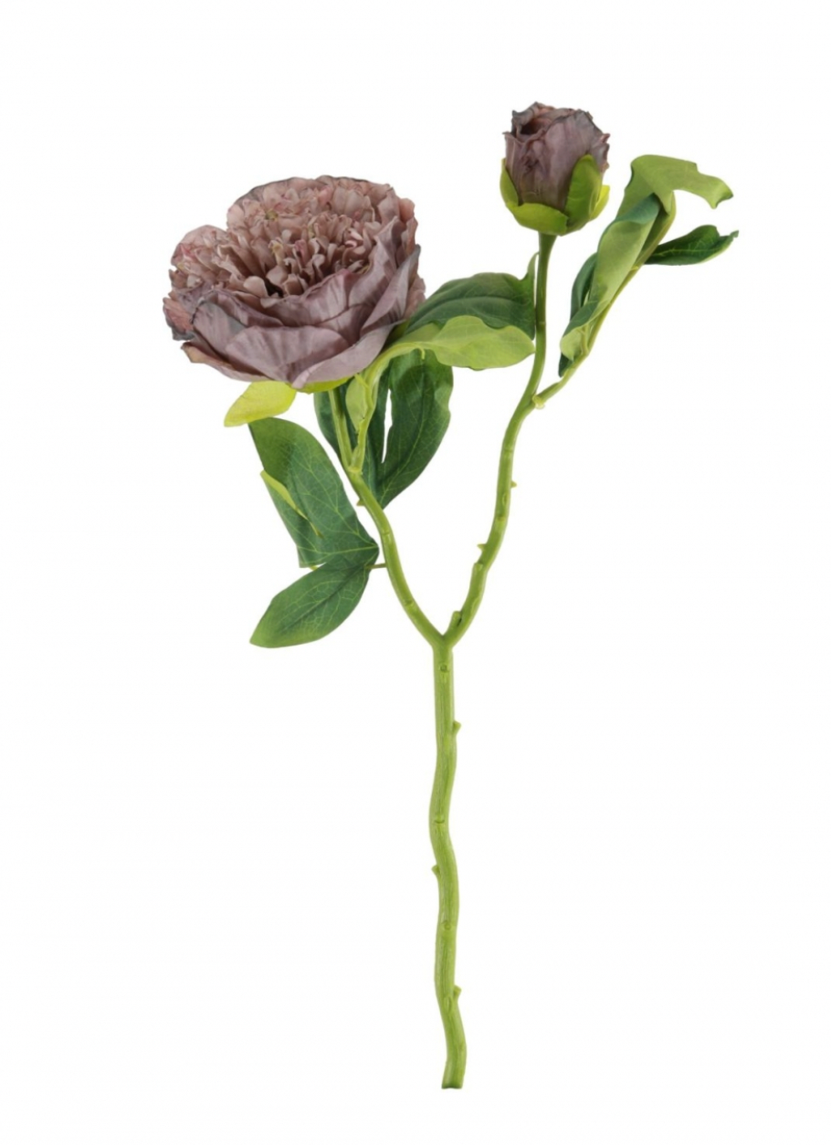 Dried Touch Ruffled Peony