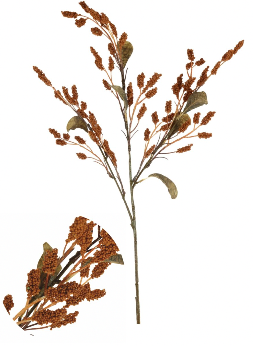 Dried Touch Grain Sorghum Spray