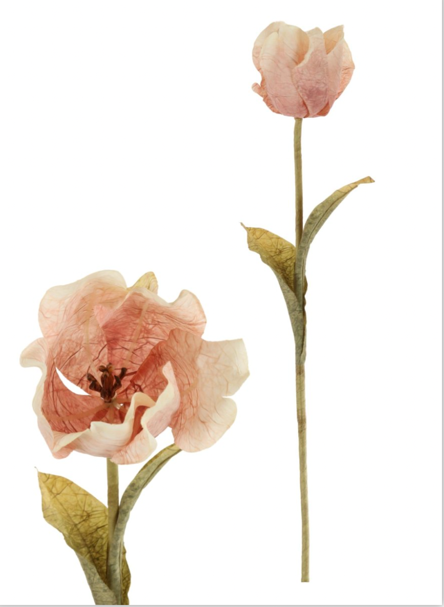 Dusty Pink Dried Touch Large Tulip Stem