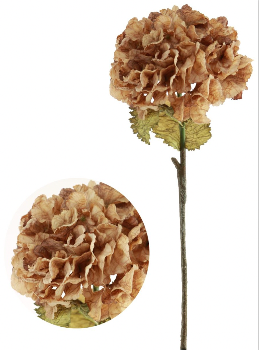 Dried Touch Ruffled Hydrangea