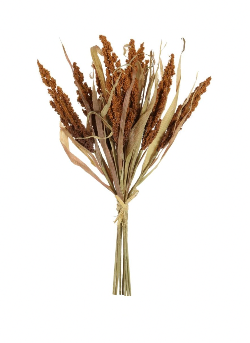 Dried Touch Reed Wheat Bunch