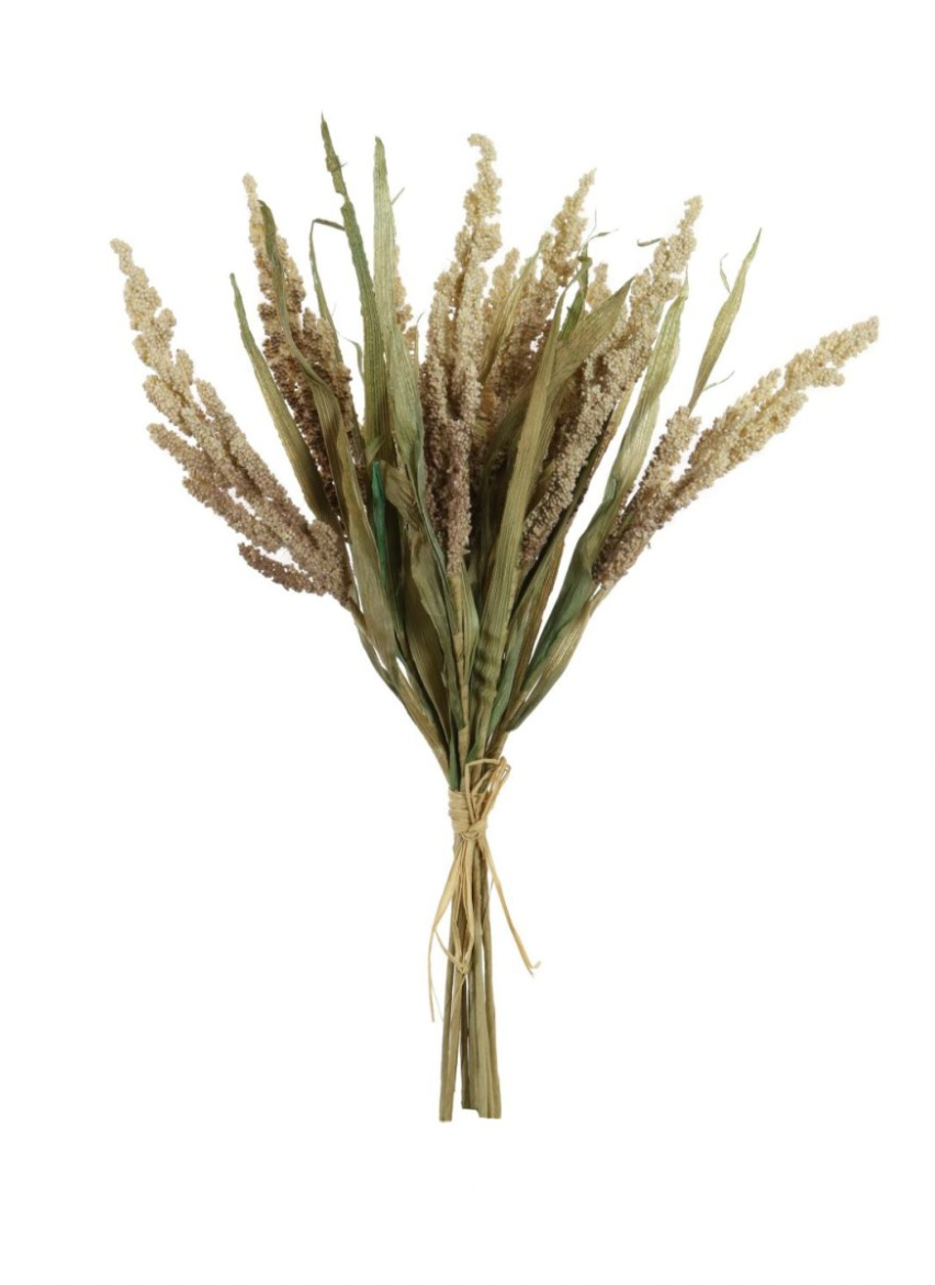 Oyster Dried Touch Reed Wheat Bunch