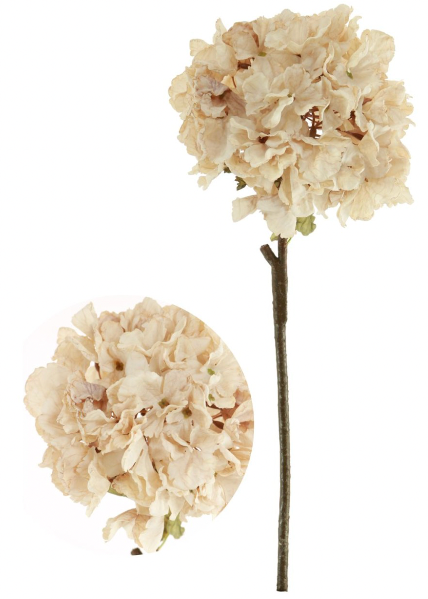 Dried Touch Ruffled Hydrangea