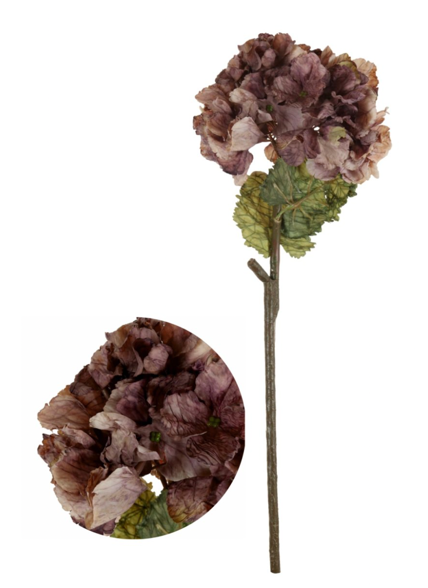 Dried Touch Ruffled Hydrangea